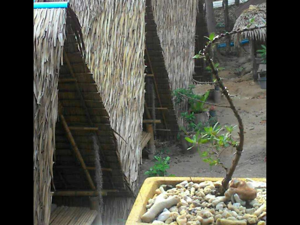 Lipe Camping Zone المظهر الخارجي الصورة