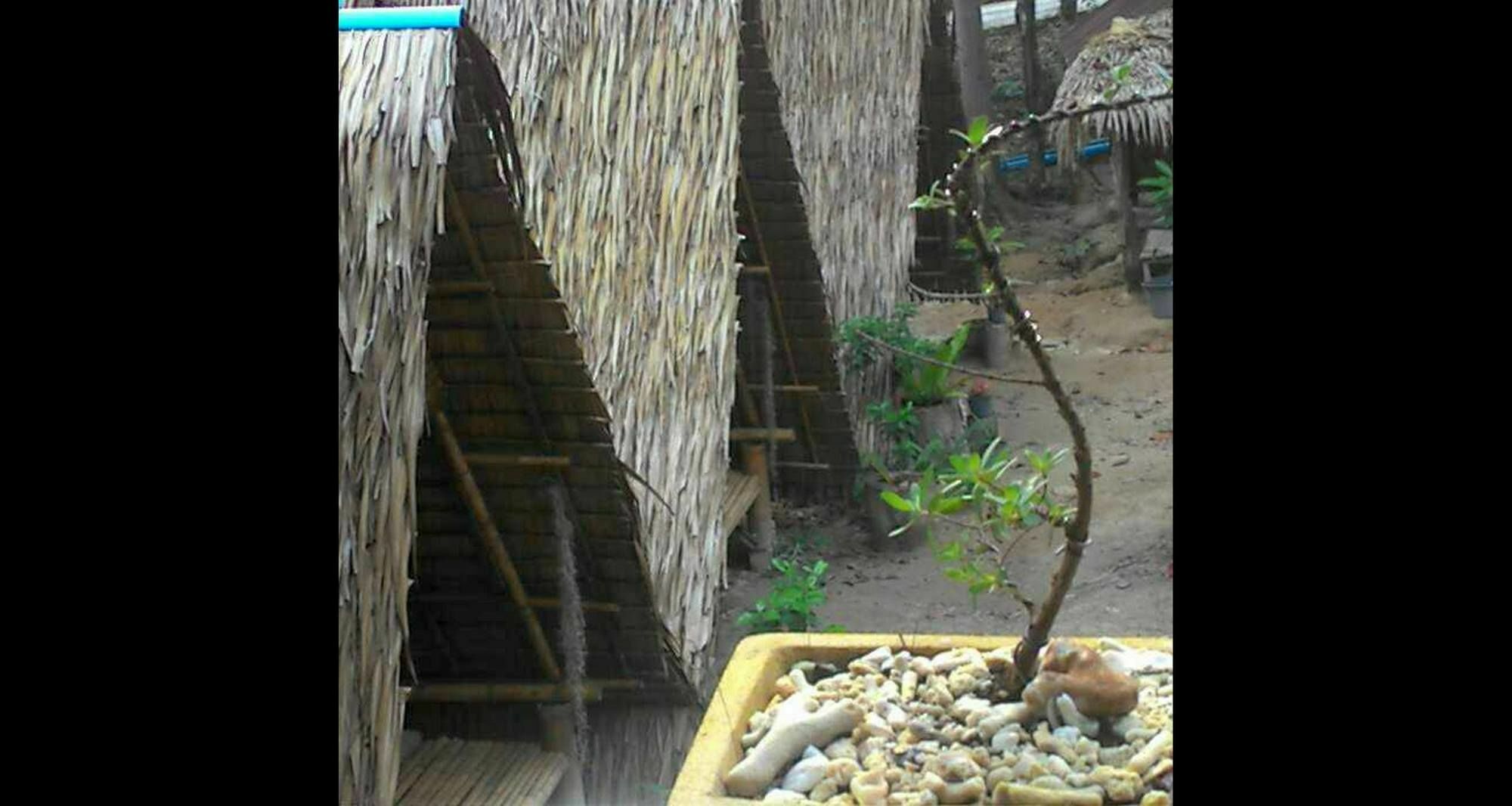 Lipe Camping Zone المظهر الخارجي الصورة